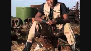 jah prayzah- karunyerekupe