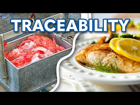 Pacific Seafood Groundfish Traceability