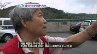 [SBS] 생방송 투데이 (20110602) 명장면 황조롱이