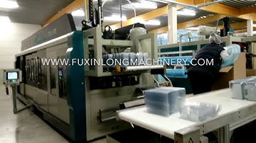 3 Station Thermoforming Machine With Forming,Cutting & Stacking