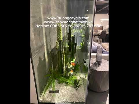 Trang trí tiểu cảnh, cây xương rồng tại showroom gạch Eurotile Quảng Ninh