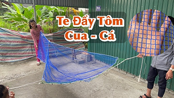 Te Đẩy Tay .Đẩy và Cào : Cua- Tôm - Cá | Miệng 1,5m - Sườn 2m - Đuôi 0,8m | Mắt Vuông 0.8cm |Gạt Bùn