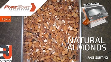 natural almonds fm sort 1st pass   4K