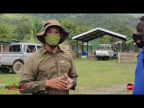 Video: Bagaimana Hendak Melepaskan Seseorang Dari Trinidad Dan Tobago - Rangkaian Matador