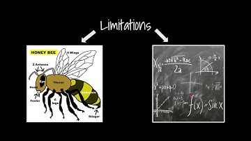 Modality and Redundancy Principle