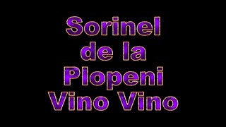 SORINEL DE LA PLOPENI    VINO