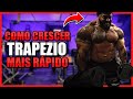 COMO CRESCER TRAPÉZIO MAIS RÁPIDO [TREINO COMPLETO]