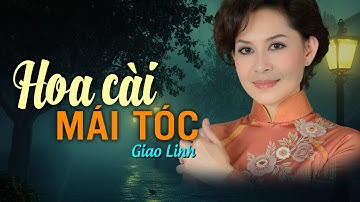 Hoa Cài Mái Tóc (Nhạc Xưa) - Giao Linh