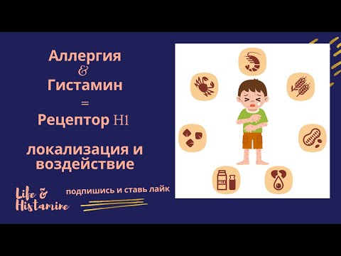 Видео: Гистамин үл тэвчихийн тулд антигистамин хэрэглэх ёстой юу?