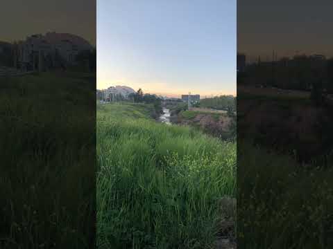 رودخانه خشک شیراز