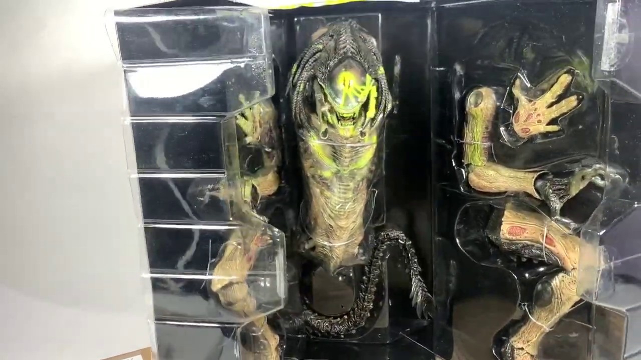 Hot Toys Aliens vs. Predator AVP 2 Requiem - Predalien (Battle Damaged  Version)