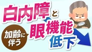 【何歳から視力低下？】白内障と成人・老年の眼の特徴について解説