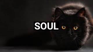 Switch It Up • Silent Partner • No Copyright Music • Royalty Free Music