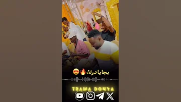 عشة الجبل ما بسايرا بجة دولة 