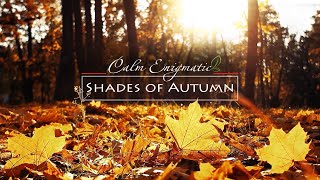 Music Therapy. Calm Enigmatic - Shades Of Autumn. Relaxing Piano Sleep Music 2020. 4K💖