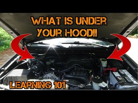 Video: Hva heter tingen som holder opp panseret på en bil?