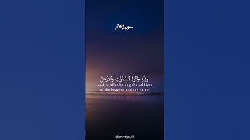 سورة الفتح | القارئ : عبدالرحمن مسعد | #alquran #راحة_نفسية #fypシ゚viral 