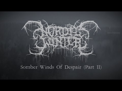 Nordicwinter - Somber Winds Of Despair (Del to) [Lyric Video] (Depressive Black Metal)