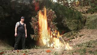 Burning Tree VFX