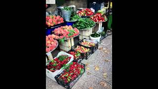 Komi̇k Kuzu Sesi Tavuk Civcivsevimli Köpeksesleri