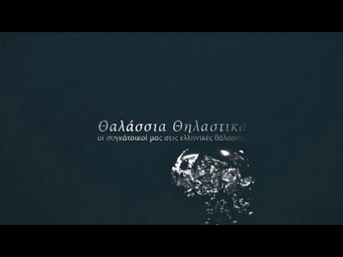 Θαλάσσια θηλαστικά, oι