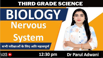 तंत्रिका तंत्र / Nervous  System Part-1 for Reet Mains Level 2 By Dr Parul Adwani ||