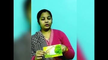 Day 12 - Activity 13, Planned a session the theme of animals.