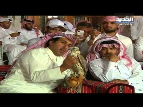 مزاد على صقور الصيد في قطر