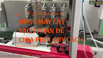 MÁY CẮT KHUYẾT TẬT VẠCH PHẤN TỰ ĐỘNG CAO TỐC WOODMASTER WM-S260 có dùng để cắt phôi theo quy cách?