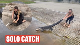 Barefoot Gator Rescue *5 Foot Girl Catches 7 Foot Gator*