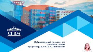 Избирательный процесс: его основные стадии. (Липчанская)