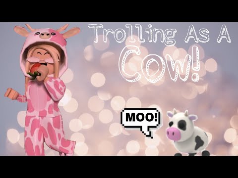 Trolling Roblox Cafe As A Cow Youtube - pink cow trend on roblox youtube