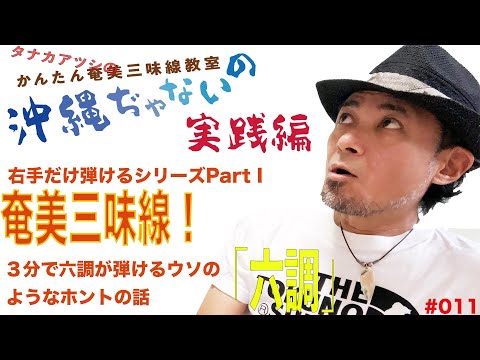 011 奄美島唄 六調を弾く】タナカアツシのかんたん奄美三味線
