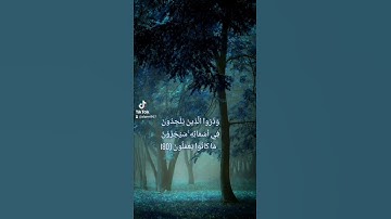 تلاوة عذبة من سورة الأعراف للقارئ مختار الحاج