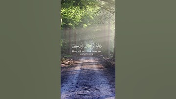 تلاوة مبكيه للشيخ خالد الجليل #قرآن #قران_كريم #tiktok #trending #trend #fyp #food #video #podcast