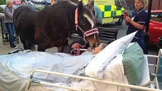 Tbourida Accidents إخلاص الجواد لصاحبه 2018