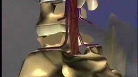 Erik Dalton Myoskeletal Alignment Techniques