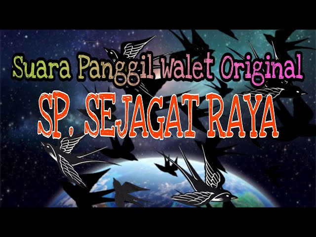 FULL DURASI SUARA PANGGIL BURUNG WALET SP. SEJAGAT RAYA #ALL_WALET class=