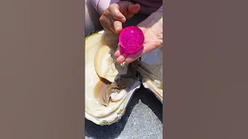 😱😱Giant clams, priceless red pearls