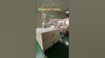 Small palletizing robot --- Soontrue Machinery