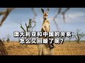 澳大利亚和中国的关系怎么又回暖了呢？