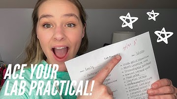 How to ACE your lab practical