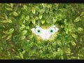 20. Epicy - The Secret of Kells OST