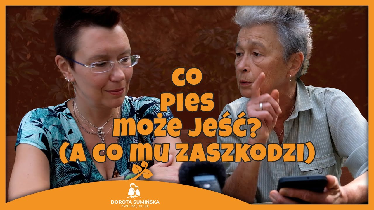 Co pies może jeść? (a co mu zaszkodzi)