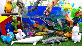 Catch Cute Animals, Rainbow Chicken, Rabbit, Turtle, Catfish, Crocodile, Goldfish, Sharks