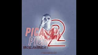 Pica Pica 2 (Fthrasmnthl Edit)