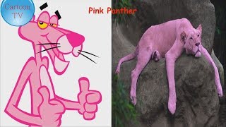 Pink Panther And Pals Characters In Real Life 2018