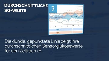 CareLink™ Personal – Bericht „Beurteilung und Fortschritt“