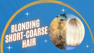 BLONDING SHORT-COARSE HAIR!