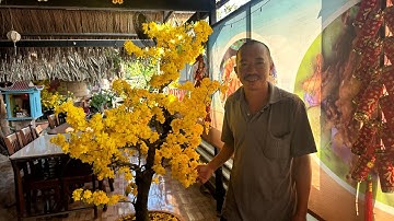 Ngày mùng 3 Tết xem một số mặt bông nỡ tại vườn a linh quán gỏi cá đục sbbl và mai hương , đại Lộc